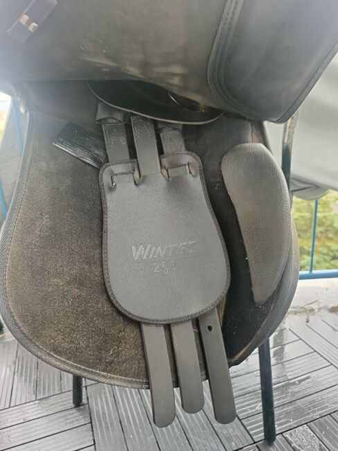 Wintec 250 17'5, Wintec 250, Sonia, All Purpose Saddle, Kraków, Image 2