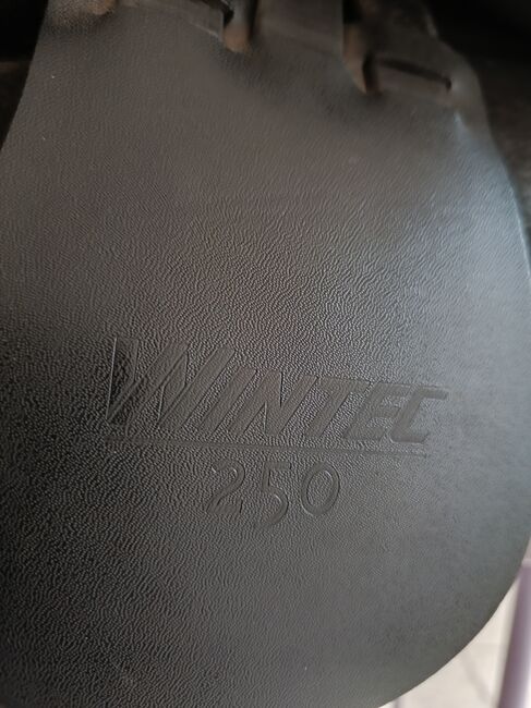 Wintec 250 VS 17,5" gebraucht, Silvia , All Purpose Saddle, Berlin , Image 5