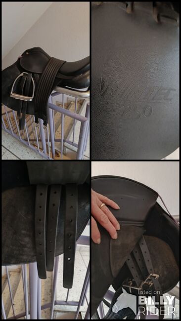 Wintec 250 VS 17,5" gebraucht, Silvia , All Purpose Saddle, Berlin , Image 9