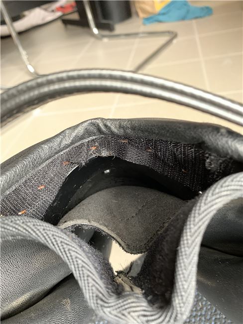 Wintec 250 VS 17“ Cair +  viel Zubehör, Wintec 250 VS, Verena Heide, All Purpose Saddle, Image 14