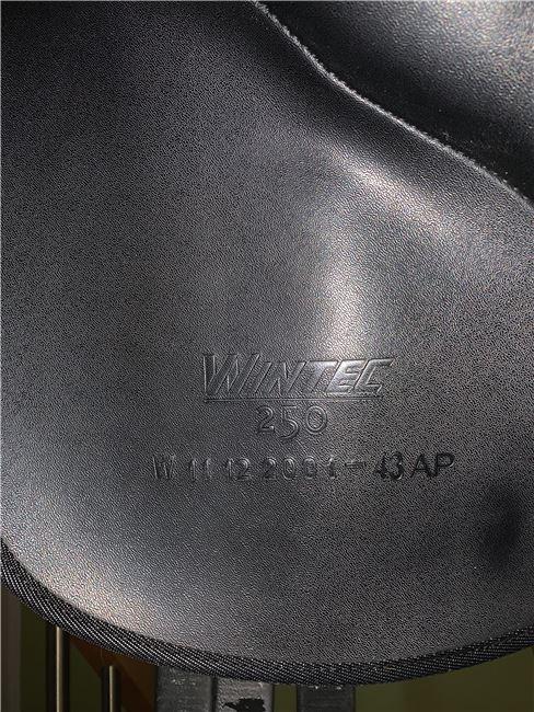 Wintec 250 VS 17“ Cair +  viel Zubehör, Wintec 250 VS, Verena Heide, All Purpose Saddle, Image 9