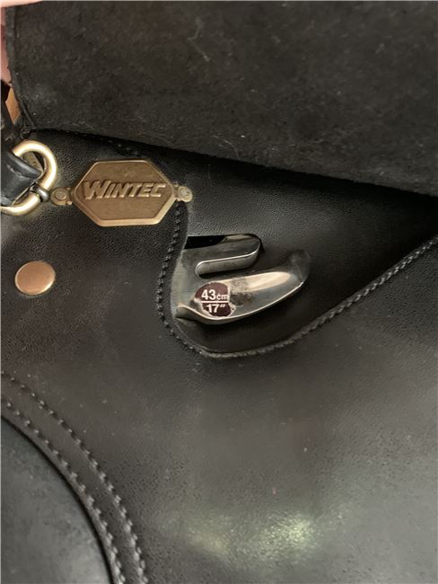 Wintec 250 VS 17“ Cair +  viel Zubehör, Wintec 250 VS, Verena Heide, All Purpose Saddle, Image 18