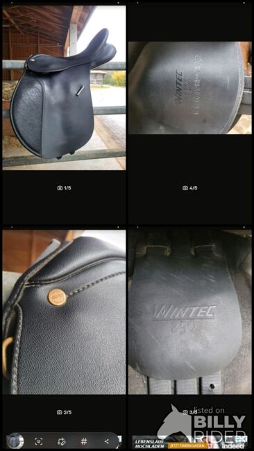 Wintec 250 VS Sattel 16 Zoll, Wintec 250, Katharina, All Purpose Saddle, Erding, Image 6