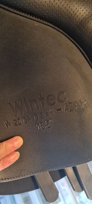 Wintec 500 All Purpose Hart Sattel 16,5 Zoll, Wintec 500 All Purpose Hart , Stefanie Griesbeck , Vielseitigkeitssattel (VS), Lunden, Abbildung 7