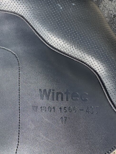 Wintec 500 Jump 17“, Wintec 500 Jump, Jessica Lendziewski , Jumping Saddle, Zeil am Main , Image 8