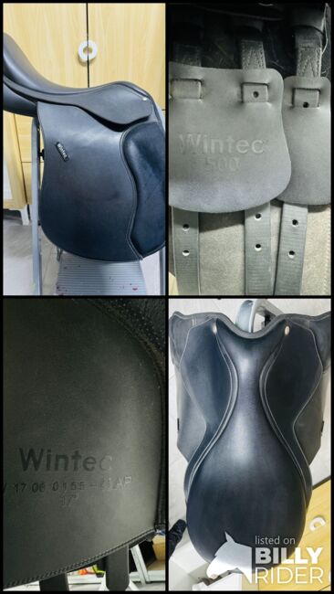 Wintec 500 VS-Sattel, Wintec, Deneke Monika, All Purpose Saddle, Pfaffstätten, Image 8