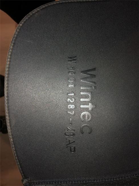 WINTEC 500 VSD 17“, Wintec Wintec 500 VSD, Judith , All Purpose Saddle, Weingarten , Image 7