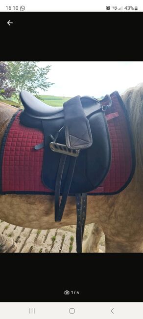 Wintec Wide, Wintec, Kim, Other Saddle, Wuppertal