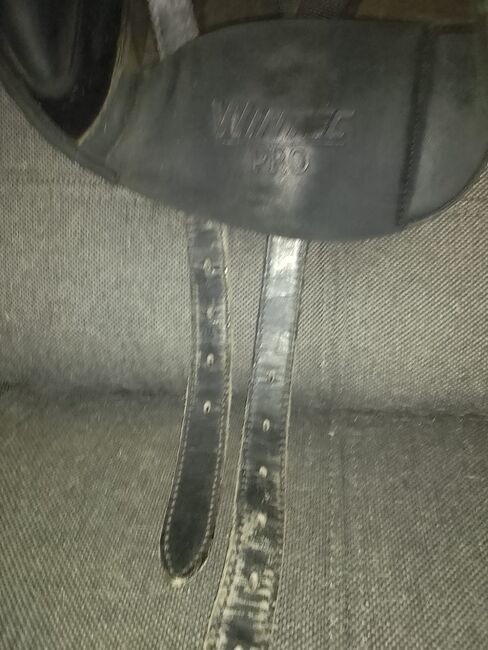 Wintec Dressursattel Hart Pro mit Cair, Wintec  Hart Pro mit Cair , Anna Peterek , Dressage Saddle, Hameln, Image 5