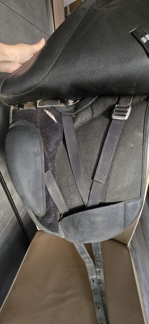 WINTEC Dressursattel Isabell Werth 17", Wintec Isabell Werth, BeagleLou, Dressage Saddle, Schneeberg, Image 8