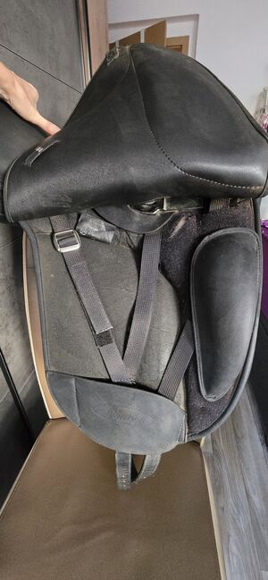 WINTEC Dressursattel Isabell Werth 17", Wintec Isabell Werth, BeagleLou, Dressage Saddle, Schneeberg, Image 9
