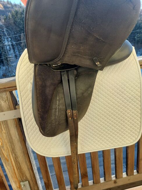 Wintec Dressursattel, Wintec, Victoria, Dressage Saddle, Puch bei Hallein, Image 5