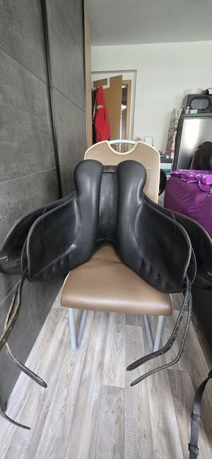WINTEC Dressursattel Isabell Werth 17", Wintec Isabell Werth, BeagleLou, Dressursattel, Schneeberg, Abbildung 5