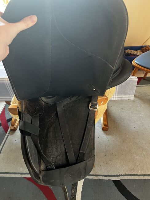 Wintec Dressursattel 16,5 Zoll, Kurzgurt, Trense(VB), Wintec, Sandra Gschmeißner, Dressage Saddle, Deusmauer