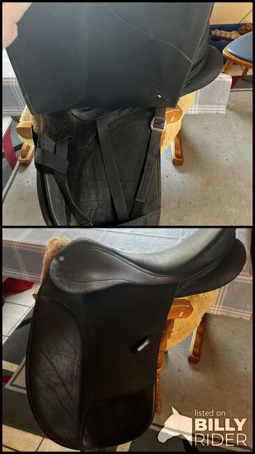 Wintec Dressursattel 16,5 Zoll, Kurzgurt, Trense(VB), Wintec, Sandra Gschmeißner, Dressage Saddle, Deusmauer, Image 3