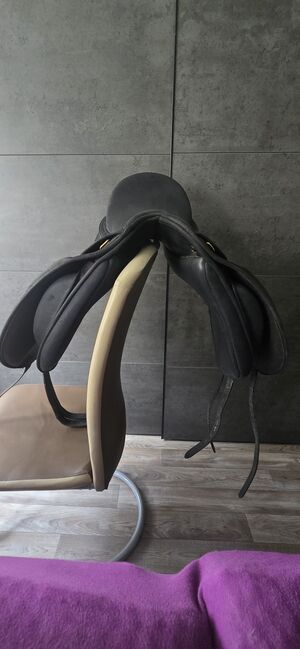 WINTEC Dressursattel Isabell Werth 17", Wintec Isabell Werth, BeagleLou, Dressage Saddle, Schneeberg, Image 3