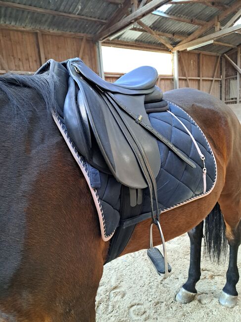 Wintec Vielseitigkeitsattel, Michelle wilms , All Purpose Saddle, Eppstein , Image 2