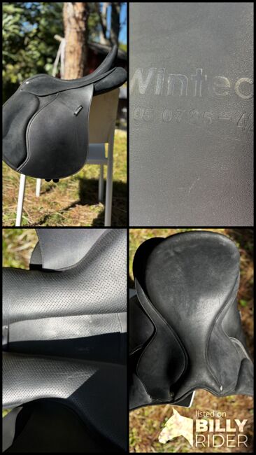 Wintec Vielseitigkeitssattel 2000 CAIR, Wintec Vielseitigkeit 2000 CAIR, Ludivine , Jumping Saddle, Landau in der Pfalz, Image 13
