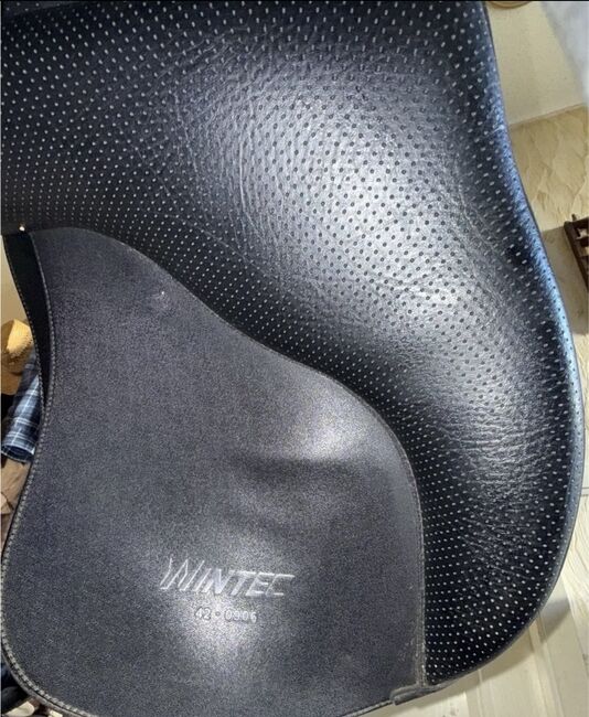 Wintec Vielseitigkeitssattel, Wintec, Leandra , All Purpose Saddle, Kerpen , Image 6