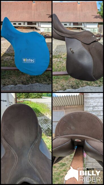 Wintec HART 2000 VS, Wintec HART 2000, Shari-Naomi Jungen-Brun, All Purpose Saddle, Dunningen, Image 10