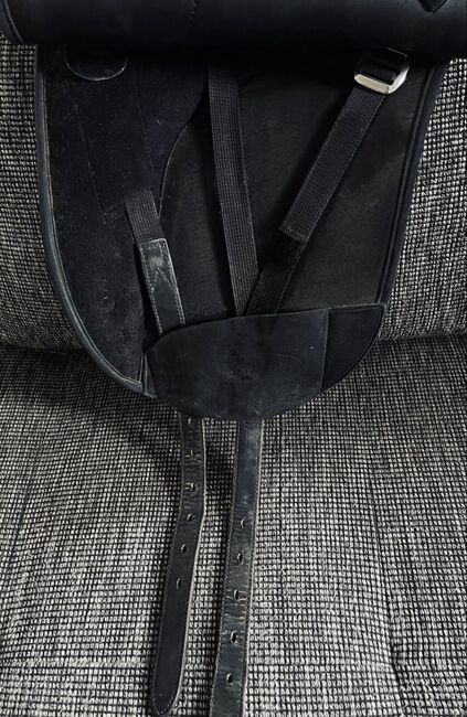 Wintec Isabell Werth Dressursattel// 17,5 Zoll//Easy Change +Cair, Wintec  Isabell Werth, Ev, Dressage Saddle, Berlin  , Image 3