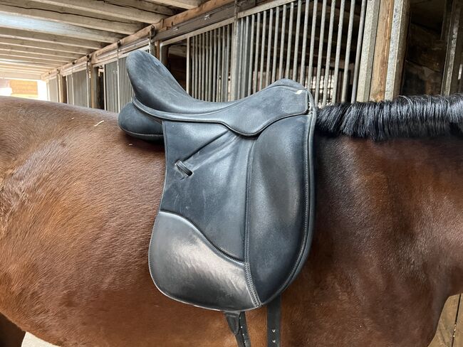 Wintec Isabell Werth Dressursattel, Wintec Isabell Werth , Nataly Steinmeier , Dressage Saddle, Hagenburg