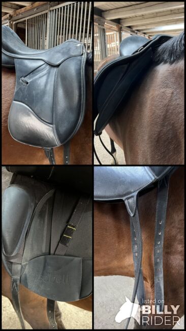 Wintec Isabell Werth Dressursattel, Wintec Isabell Werth , Nataly Steinmeier , Dressage Saddle, Hagenburg, Image 9