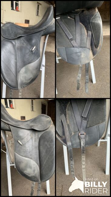 Wintec Isabell Werth Dressursattel in 17“, Wintec  Isabell Werth , Julia Nagel, Dressage Saddle, Mühlacker , Image 5