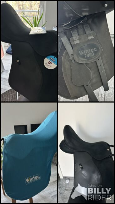 Wintec Modell 2000 von 2022 in 17 Zoll, Wintec 2000 Vielseitigkeit, Ramona, All Purpose Saddle, Müglitztal, Image 10