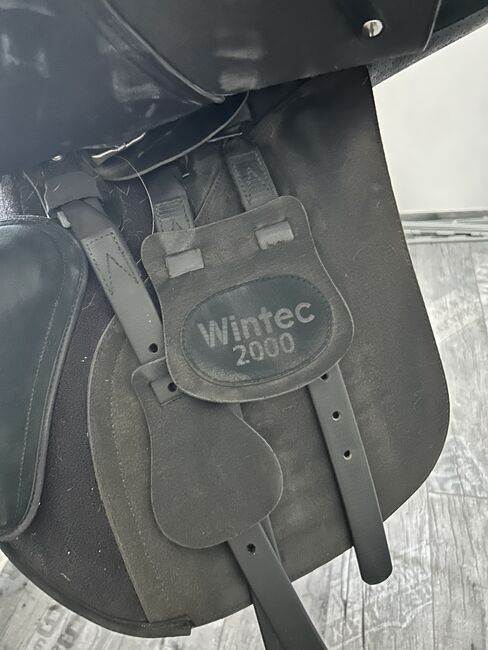 Wintec Modell 2000 von 2022 in 17 Zoll, Wintec 2000 Vielseitigkeit, Ramona, All Purpose Saddle, Müglitztal, Image 6