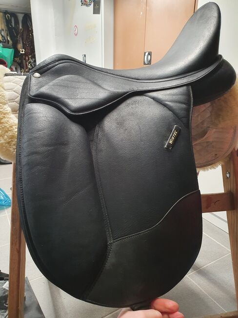 Wintec Pro Dressur, Wintec Pro Dressur, Tinw, Dressage Saddle, Essen, Image 4