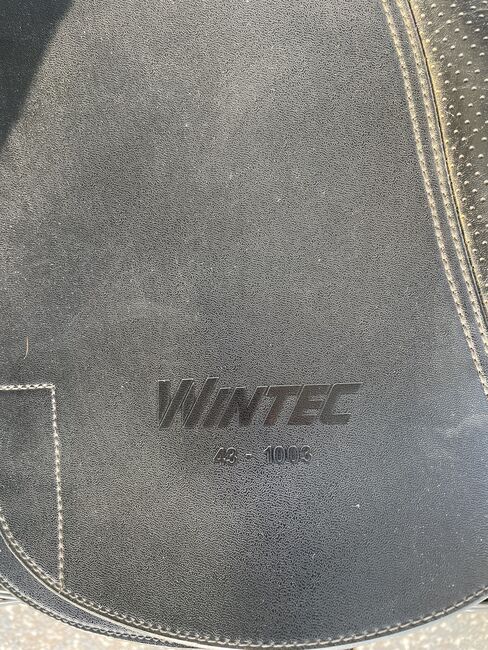 Wintec Pro, Wintec Pro, Petra, Dressage Saddle, Achim, Image 4