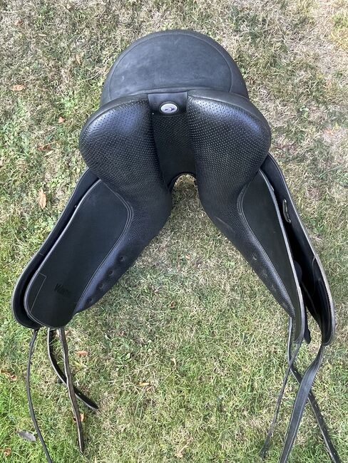 Wintec Pro, Wintec Pro, Petra, Dressage Saddle, Achim, Image 3