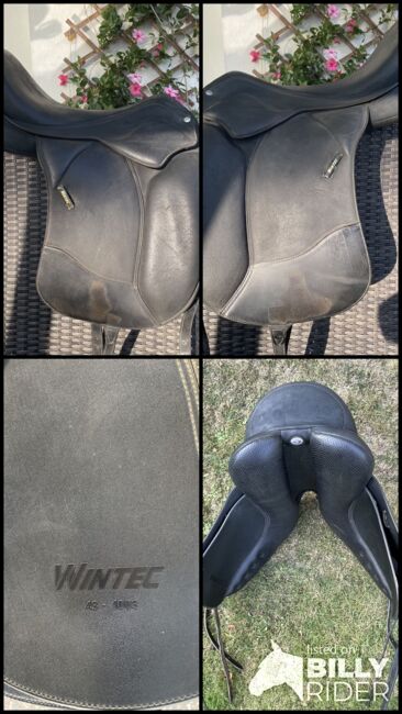 Wintec Pro, Wintec Pro, Petra, Dressage Saddle, Achim, Image 5