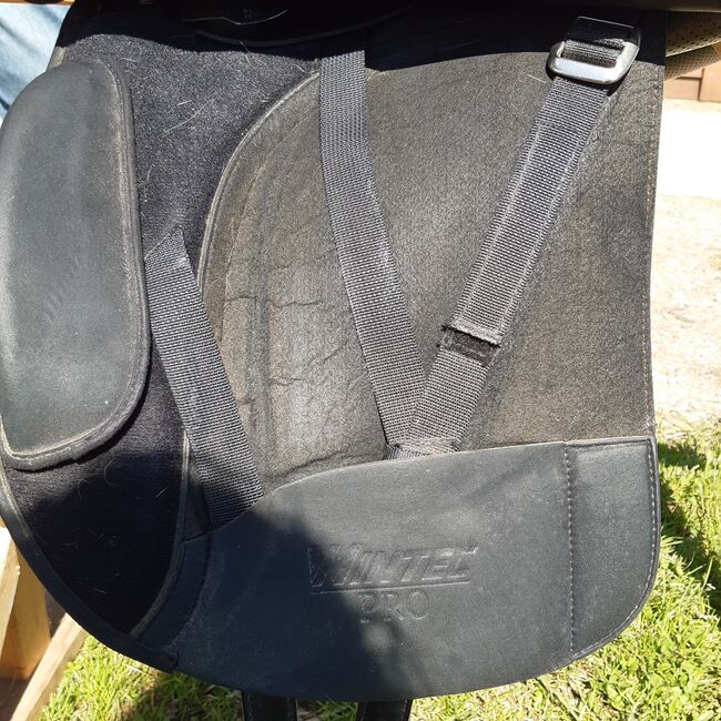Wintec Pro, Wintec Pro, Michaela Riegler , Dressage Saddle, Saulburg, Image 4