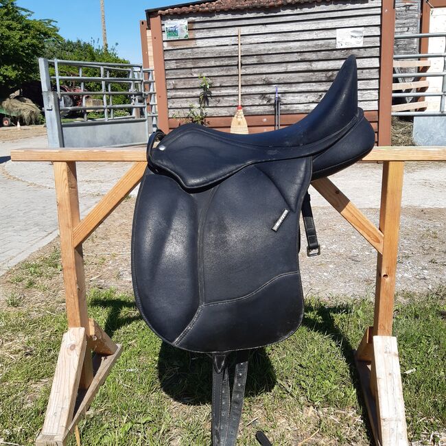 Wintec Pro, Wintec Pro, Michaela Riegler , Dressage Saddle, Saulburg