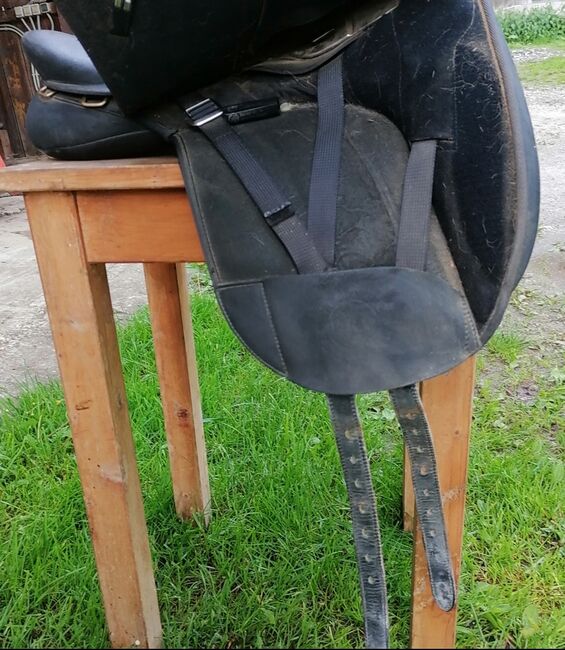 Wintec Pro Feldmann Dressursattel, Wintec  Pro Feldmann , Marina Waltritsch, Dressage Saddle, Arriach , Image 9