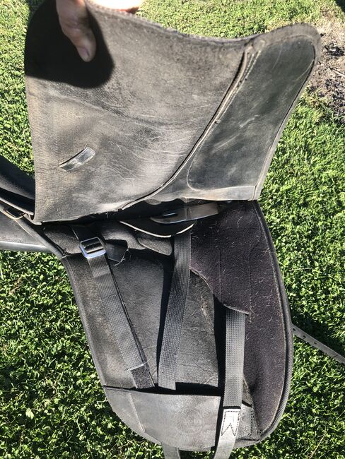 WINTEC Pro Feldmann Tölt CAIR Gangpferdesattel Dressursattel 17,5", Wintec Pro Feldmann, Eli, Icelandic Saddle, Häuseln am Holz, Image 12