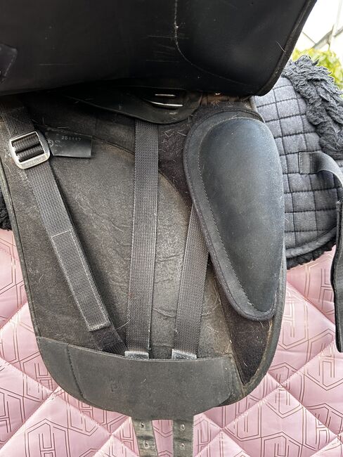 Wintec Pro Sattel, Wintec, Natalie, Lambskin Pad, Grünheide (Mark) Mönchwinkel, Image 11