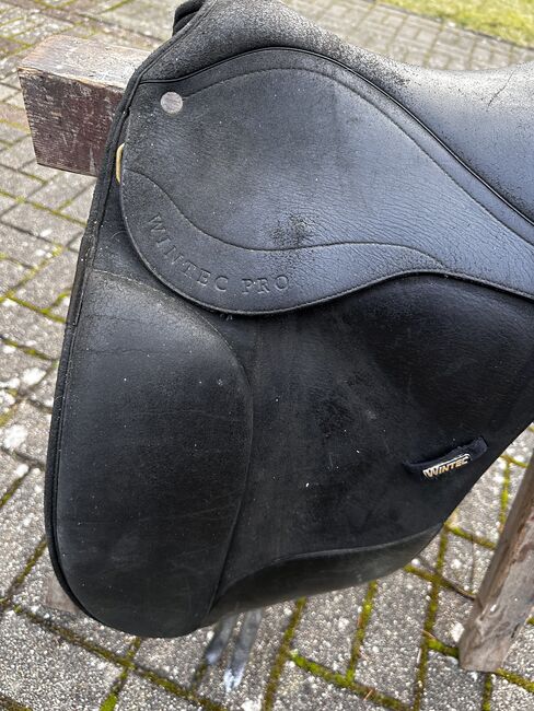 Wintec Pro Sattel, Wintec, Natalie, Lambskin Pad, Grünheide (Mark) Mönchwinkel, Image 4