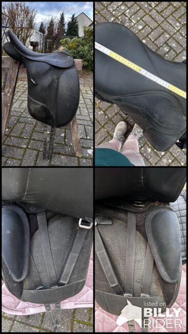 Wintec Pro Sattel, Wintec, Natalie, Lambskin Pad, Grünheide (Mark) Mönchwinkel, Image 18