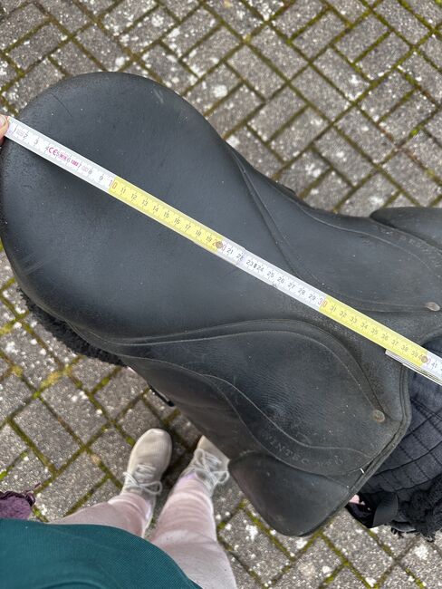 Wintec Pro Sattel, Wintec, Natalie, Fellsattel, Grünheide (Mark) Mönchwinkel, Abbildung 13