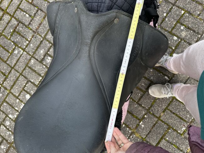 Wintec Pro Sattel, Wintec, Natalie, Fellsattel, Grünheide (Mark) Mönchwinkel, Abbildung 14
