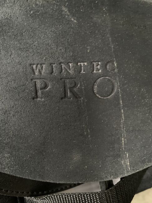 Wintec Pro Stocksattel, kaum benutzt, Wintec Wintec Pro , Thomas Huber, Endurance Saddle, Ampfing, Image 4