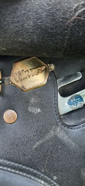 Wintec Sattel 17,5 Zoll, Wintec, Birgit Müller , All Purpose Saddle, Alsbach, Image 9