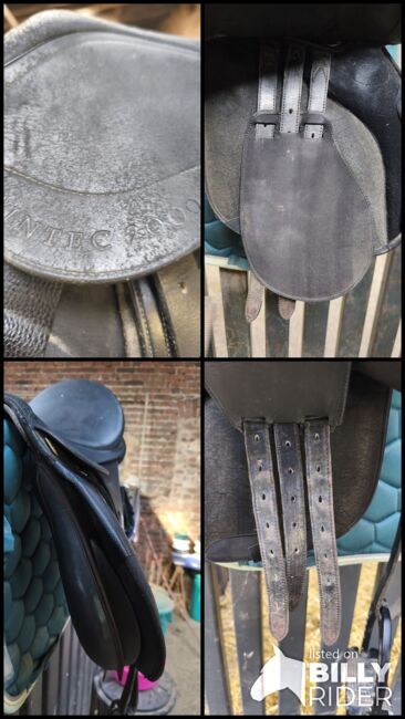 Wintecsattel 2000 zu verkaufen, Wintec 2000, Maren Grebing , All Purpose Saddle, Bad Wildungen, Image 12