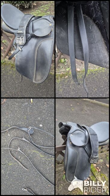 Wintec sattel, Wintec, Tanja weiler, All Purpose Saddle, Köln, Image 9