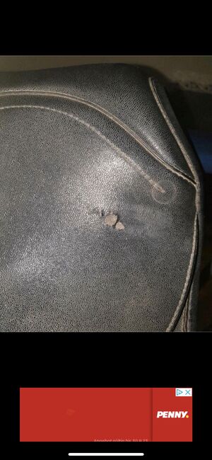 Wintec Sattel 17,5‘‘, Wintec, Elisabeth , Dressage Saddle, Bremen, Image 3