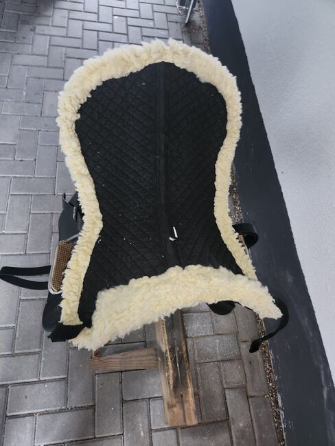 Wintec Sattel, Wintec , Lilly , All Purpose Saddle, Friedeburg , Image 5