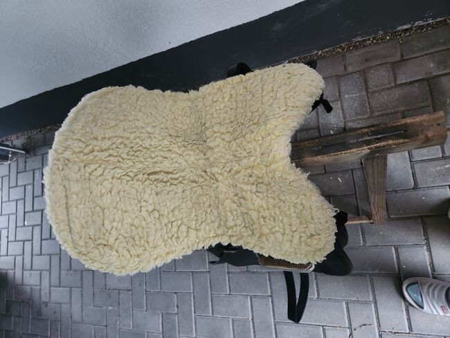 Wintec Sattel, Wintec , Lilly , All Purpose Saddle, Friedeburg , Image 6